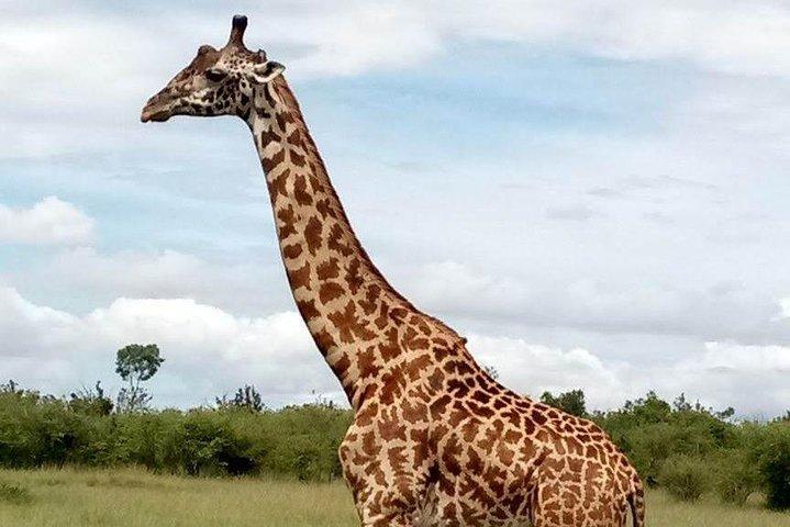 5-Day Crescent Island, Hell’S Gate, Naivasha, Amboseli National Park