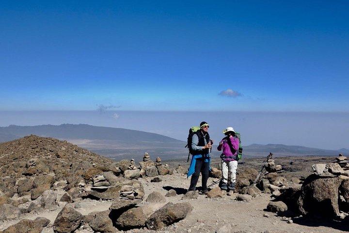 Climb Kilimanjaro 8-Day Lemosho Route with Stunning Scenic Views