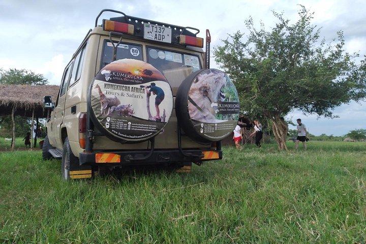 10-Day Northern Tanzania Wildlife Experience