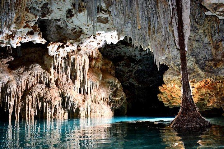 Rio Secreto Skip-the-Line Admission Ticket