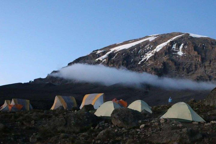 Climb Kilimanjaro 8-Day Lemosho Route with Stunning Scenic Views