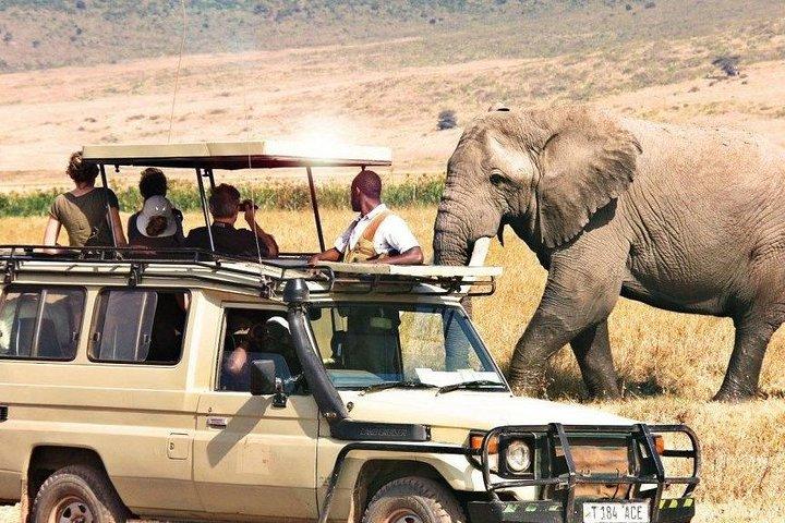 3 Days of Camping Bliss in Serengeti and Ngorongoro Crater