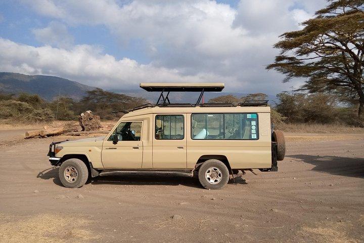 2 Days Luxury Lodge Safari To Tarangire / Lake Manyara & Ngorongoro Crater