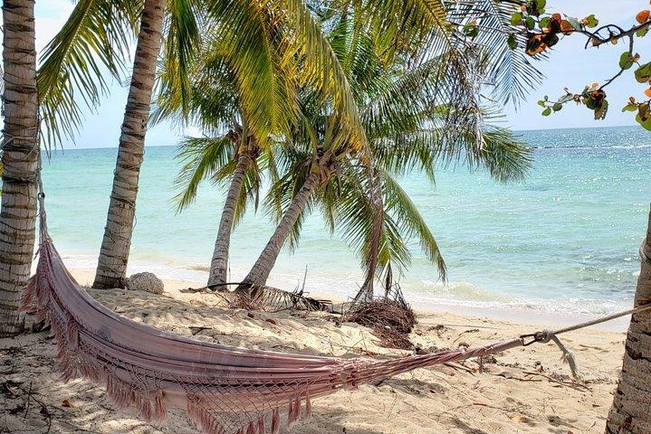 Nassau City Tour: 7 Attractions in the Bahamas( free samples).