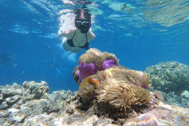Snorkel in the 2nd largest reef in the world at Puerto Morelos