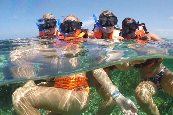 Puerto Morelos Half-Day Snorkel Tour