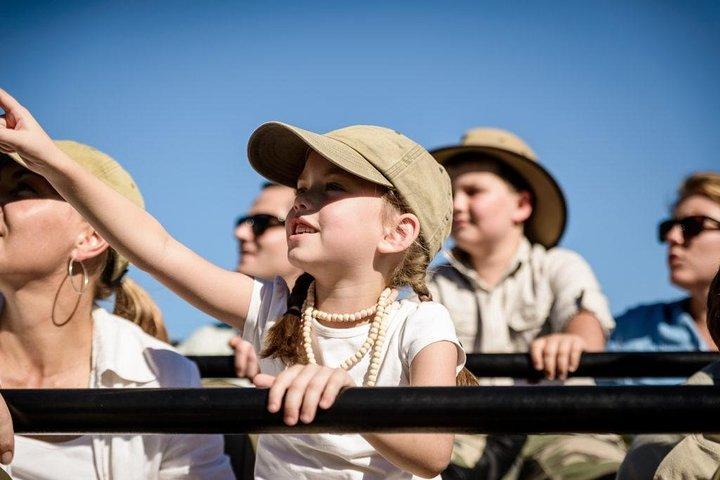 Tanzania Family Holiday; 8-Days Lodge Safari