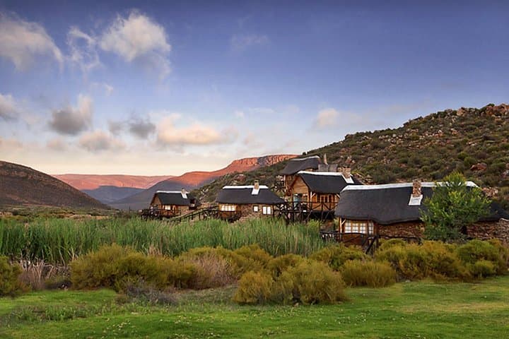 Aquila Wildlife Safari Tour