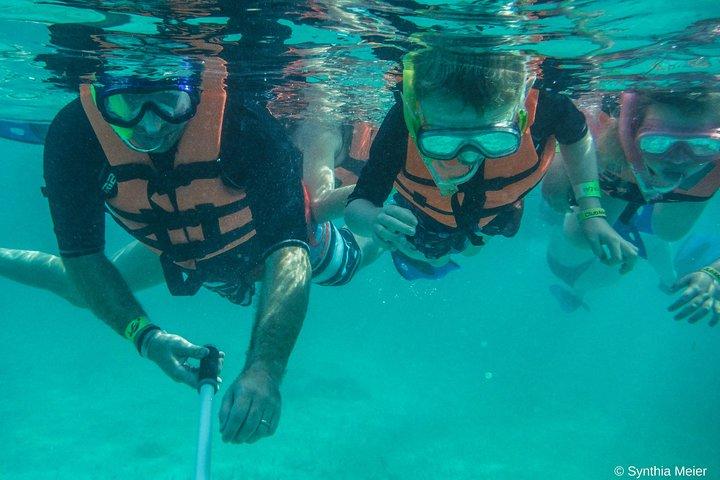 Marine Turtle Snorkeling Private Tour