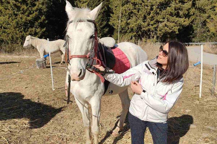 Horse Riding in the Heart of the Rhodope Mountains