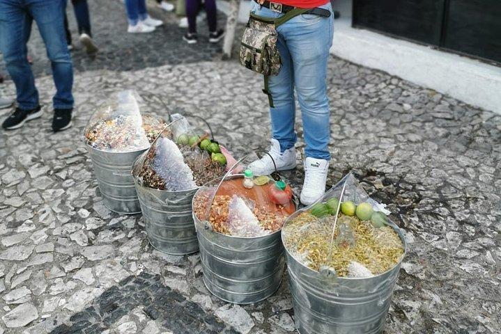 Taxco and Cuernavaca Tour