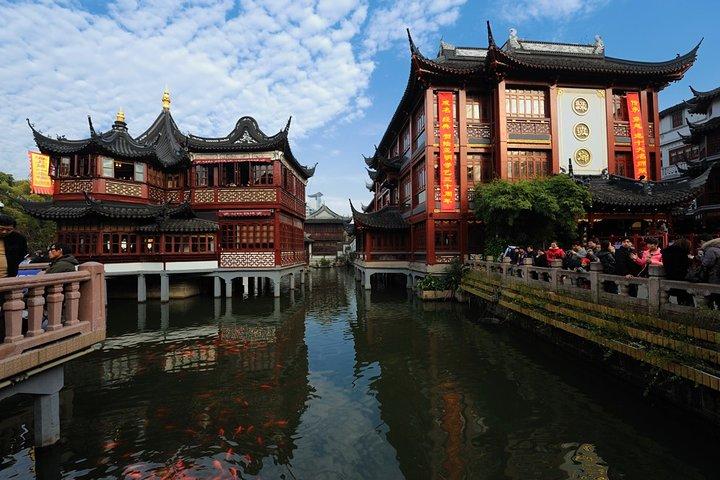 Private Tour of Shanghai Zoo and Cruise on Huangpu River with Dim sum Lunch