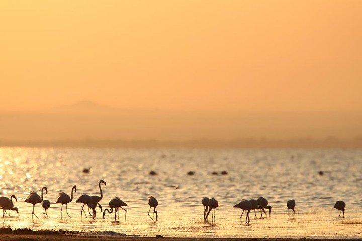 The Northern Tanzania Adventure