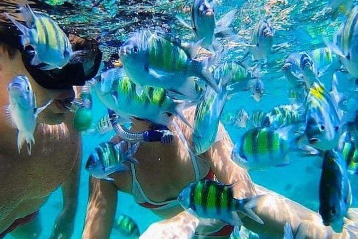 Bali Snorkeling at Blue Lagoon beach all inluded