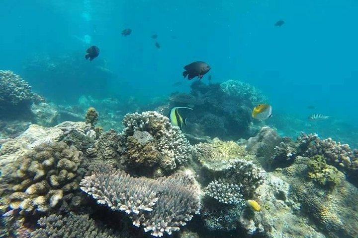 Bali Snorkeling at Blue Lagoon beach all inluded