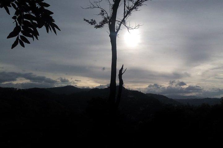 Private Hiking Adventure to the Little Adam’s Peak And Nine Arches Bridge.
