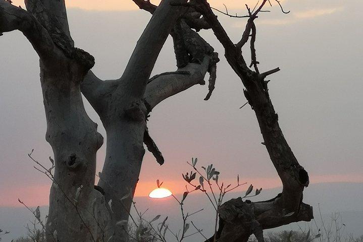 Kruger National Park - Sunset Safari trip.