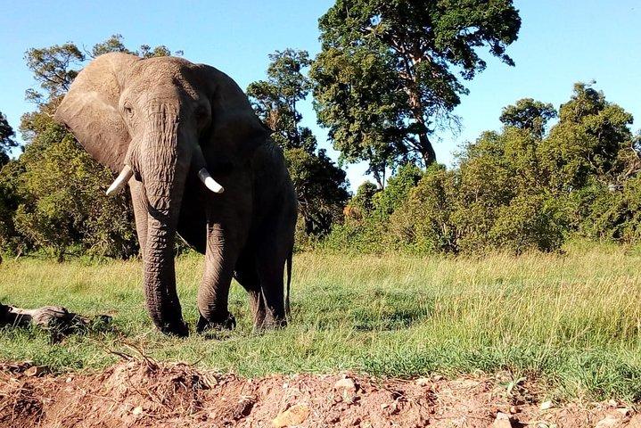 Arusha National Park Half Day Tour