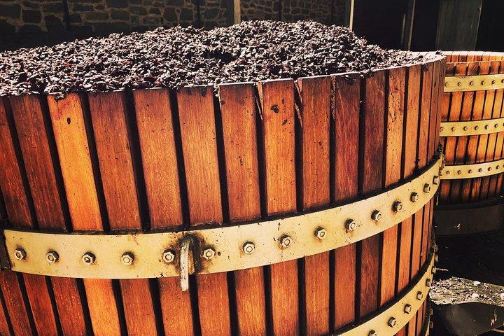 Small Tour Barossa Valley Voyager Tour from Adelaide