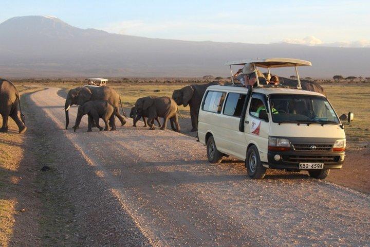 3-Day Masai Mara Safari (Mid-Range Accommodation)