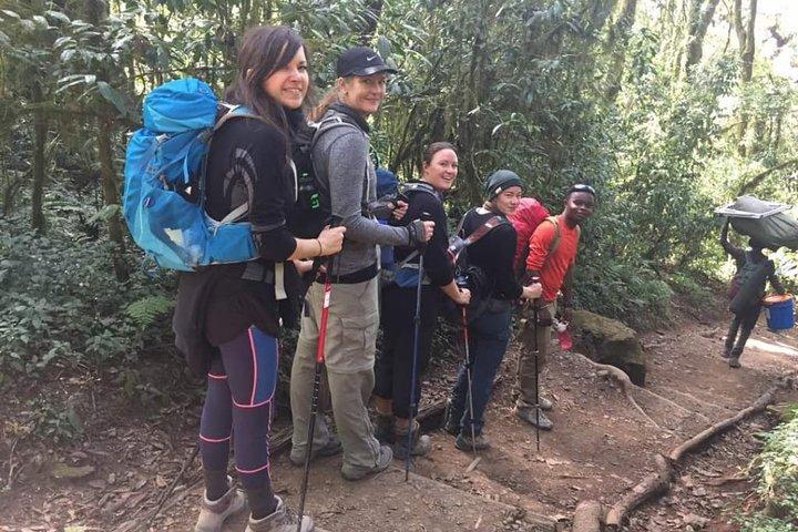 Mount Kilimanjaro Day Hike