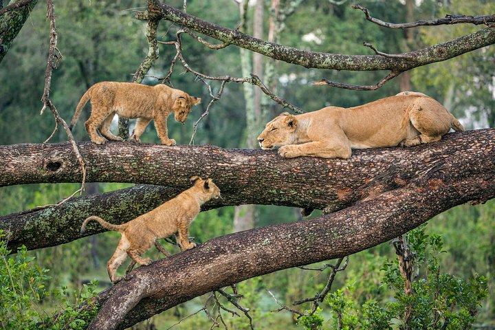 The Northern Tanzania Adventure