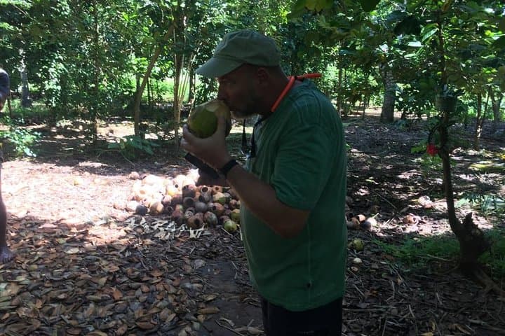 Spice Farm Tour and Jozani Forest Private Tour in Zanzibar