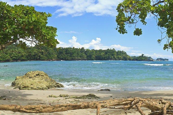 Manuel Antonio National Park Day Trip from San Jose
