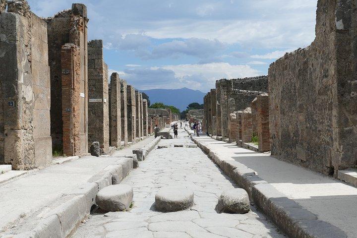 Pompeii Half-Day Shared Tour from Naples + Skip-the-Line Ticket