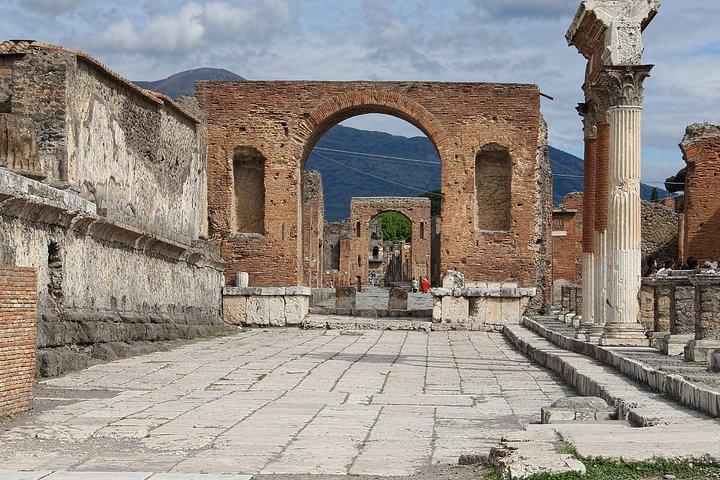 Pompeii Half-Day Shared Tour from Naples + Skip-the-Line Ticket