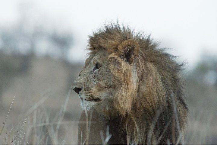 Durban: Hluhluwe Big 5 Budget Safari — Pro Zeiss Binoculars & Safari Guide Books
