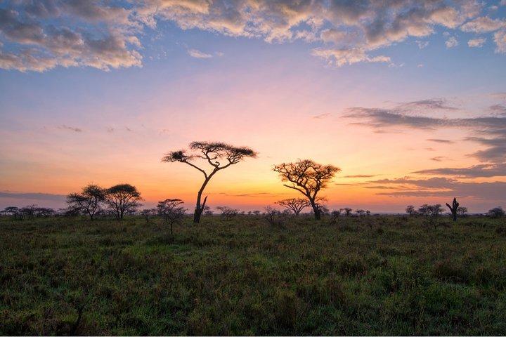 Durban: Hluhluwe Big 5 Budget Safari — Pro Zeiss Binoculars & Safari Guide Books