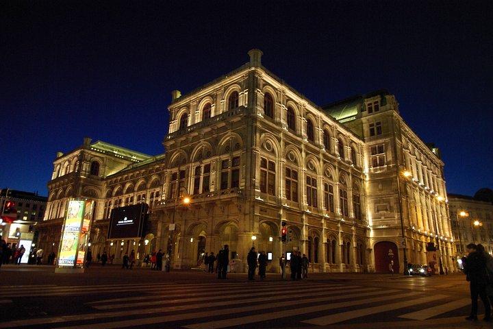Private Vienna City Tour with a private transport and guide