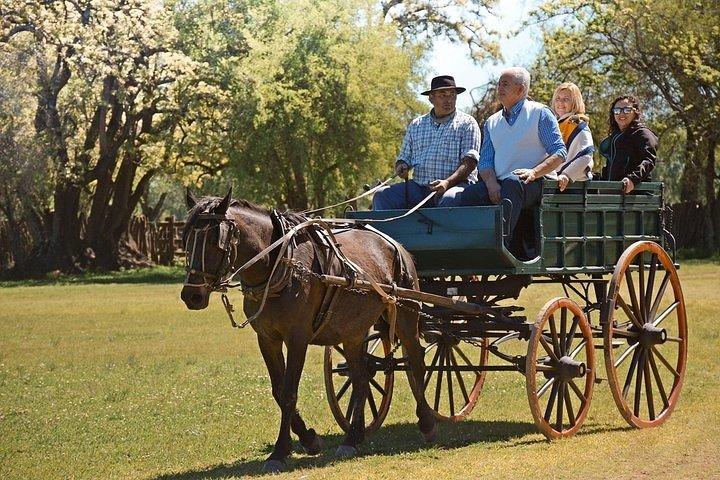 Private Day Tour to an Argentinian Estancia