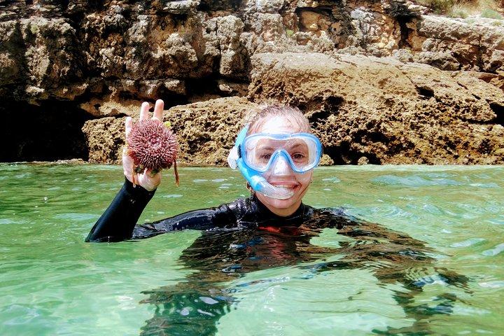 Arrábida Snorkeling & Wine