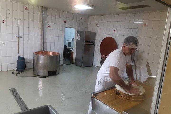Day trip to Praid Salt Mine with Cheese tasting included
