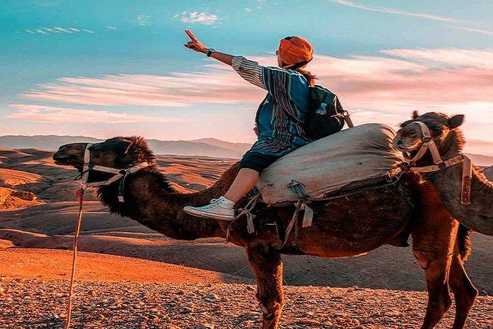 Sunset Camel Ride In Desert From Marrakech