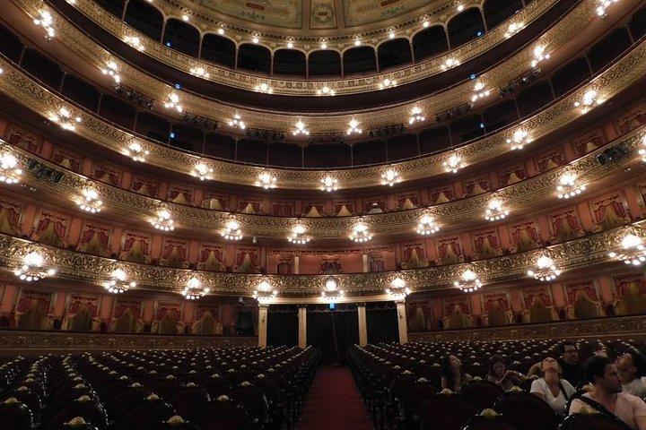 Premium City Tour with visit to Teatro Colon in Buenos Aires