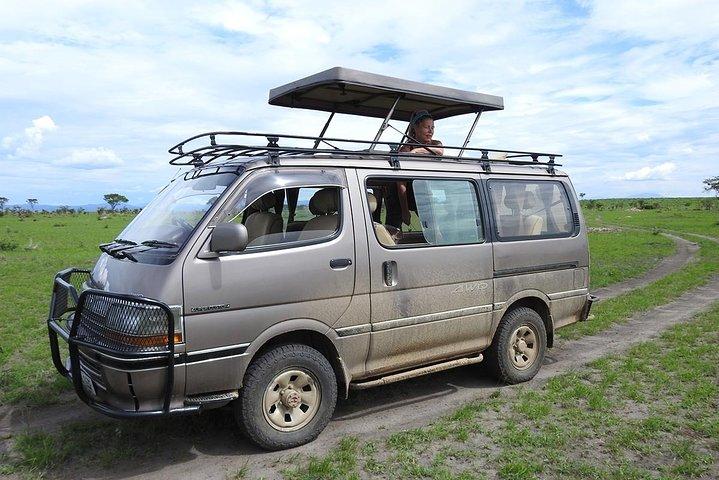 Guided Safari to Murchison Falls from Masindi