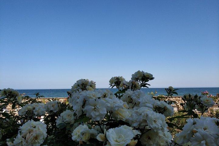 Private Cape Kaliakra & the Balchik Botanical Gardens from Varna
