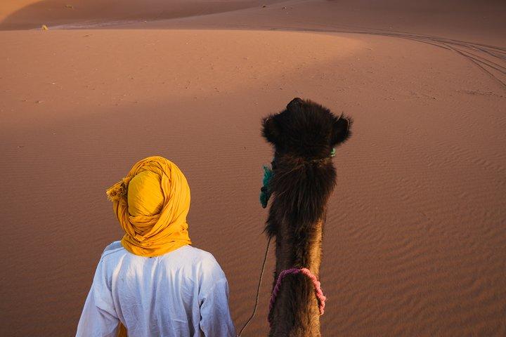 Combined Tour: Atlas Mountains Trek and Sahara Desert 5 days Tour