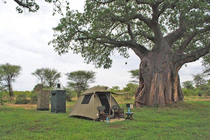 2 Days Guided Tour in Tarangire and Ngorongoro Crater