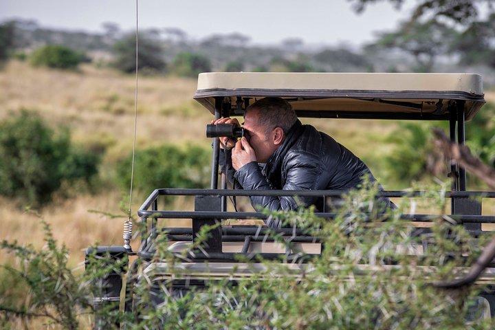 2 Days Guided Tour in Tarangire and Ngorongoro Crater