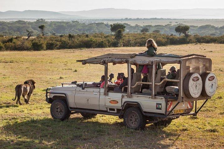 Cape Town 2-Days Overnight Aquilla Safari game Reserve