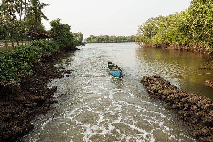 Exploring Divar Island's Monsoon Charm