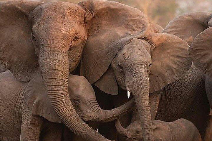 2-Day Tanzania Small-Group Safari from Arusha