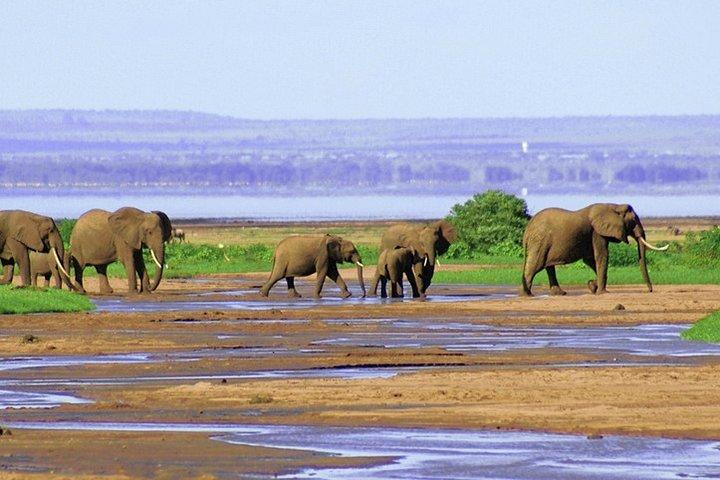 2-Day Tanzania Small-Group Safari from Arusha