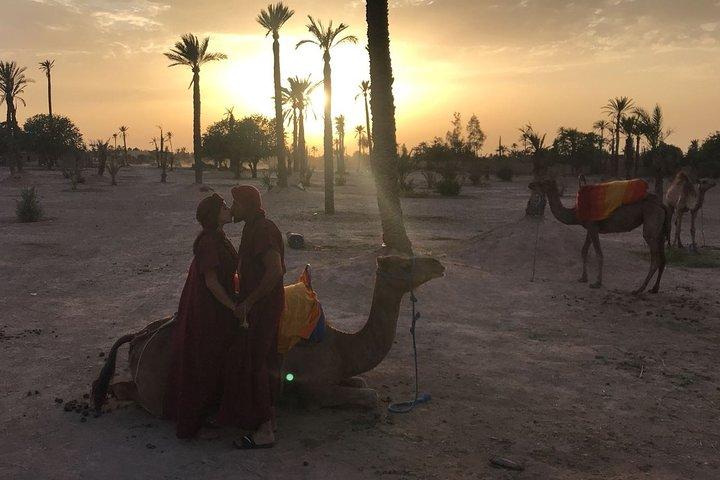 Private Palm Grove Camel Ride With A Tea Break.