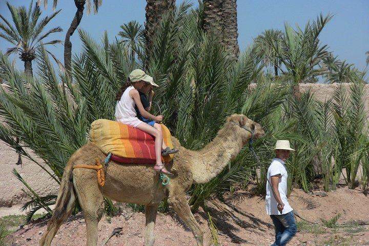 Private Palm Grove Camel Ride With A Tea Break.