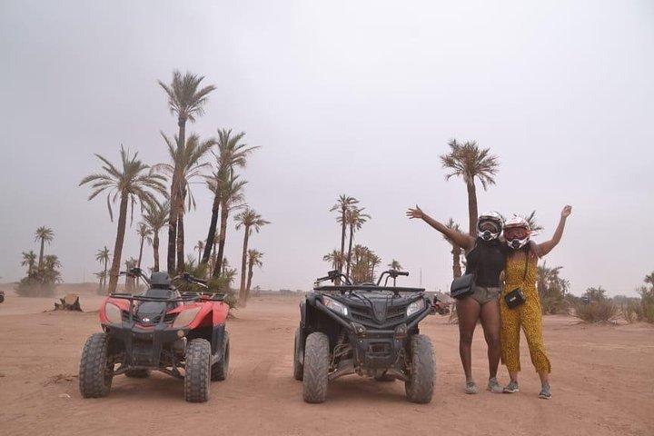 Enjoy a thrilling camel ride through the Palm Grove of Marrakech